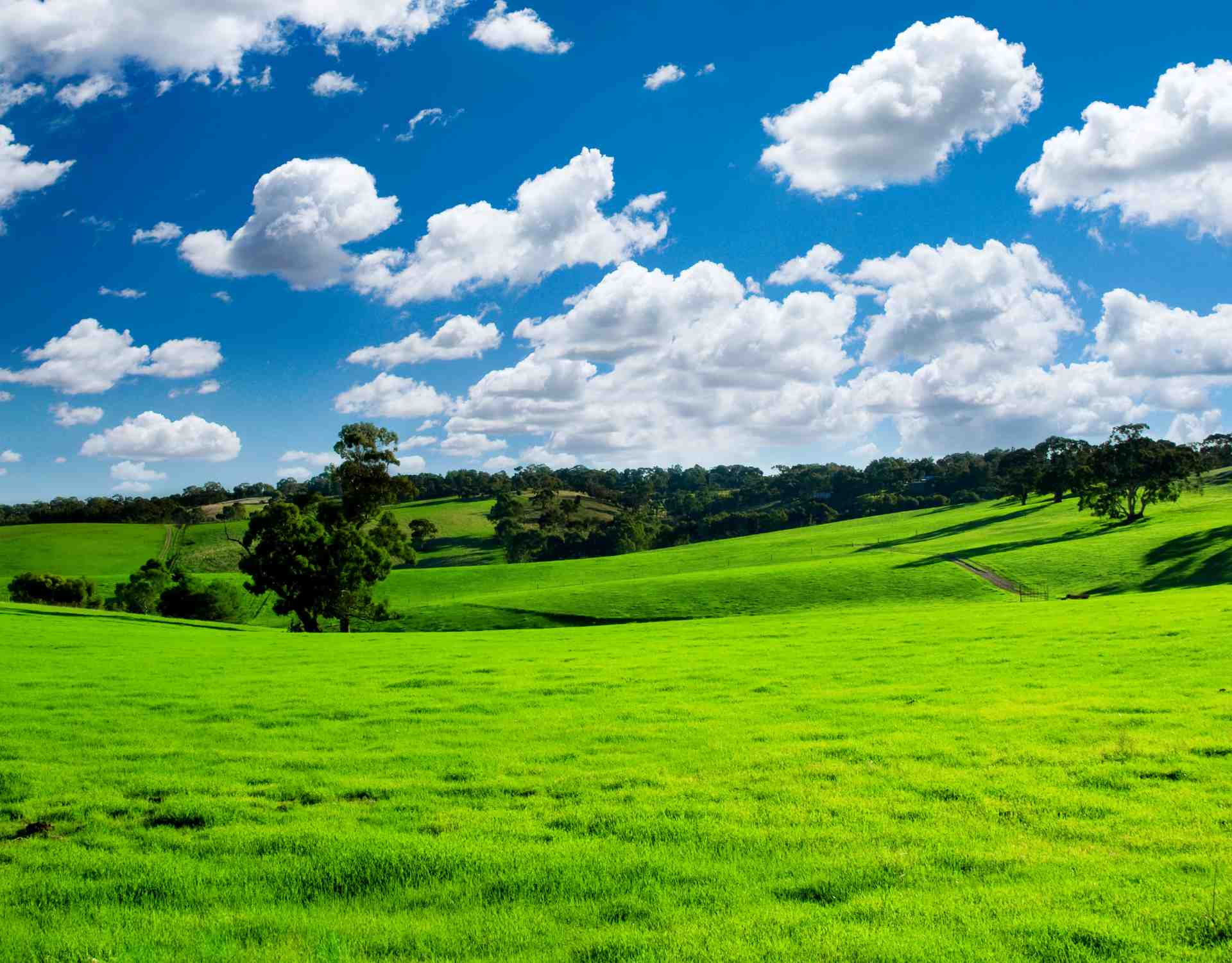 Hero Image Hero Image