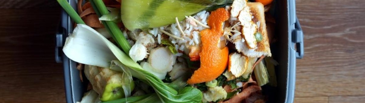 Hero Image Pentair biogas quality monitoring biosense