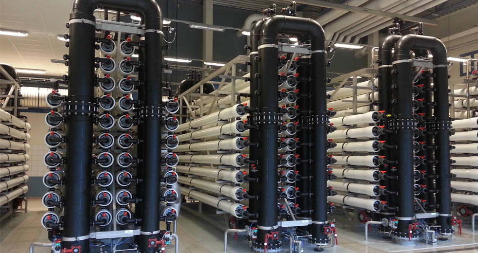 Membrane Elements at plant